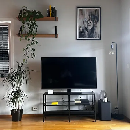 Modern With Balcony Apartment